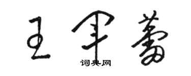 骆恒光王军蕾草书个性签名怎么写