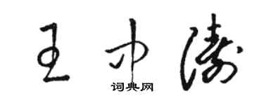 骆恒光王中涛草书个性签名怎么写