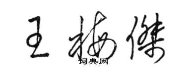 骆恒光王梅杰草书个性签名怎么写
