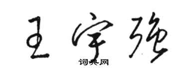 骆恒光王宇强草书个性签名怎么写