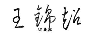 骆恒光王锦超草书个性签名怎么写