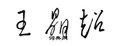 骆恒光王晶超草书个性签名怎么写