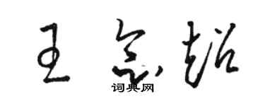骆恒光王念超草书个性签名怎么写