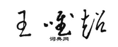 骆恒光王唯超草书个性签名怎么写