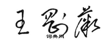 骆恒光王刚薇草书个性签名怎么写