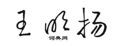 骆恒光王明扬草书个性签名怎么写