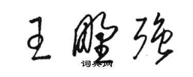 骆恒光王野强草书个性签名怎么写