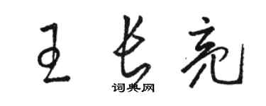 骆恒光王长亮草书个性签名怎么写