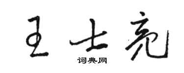 骆恒光王士亮草书个性签名怎么写
