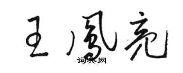 骆恒光王凤亮草书个性签名怎么写