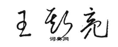 骆恒光王斯亮草书个性签名怎么写