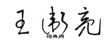 骆恒光王卫亮草书个性签名怎么写