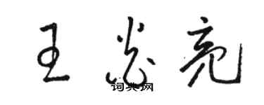 骆恒光王炎亮草书个性签名怎么写
