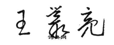 骆恒光王丛亮草书个性签名怎么写