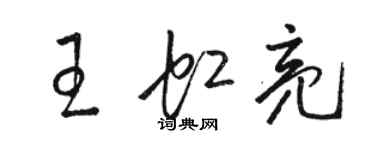 骆恒光王虹亮草书个性签名怎么写