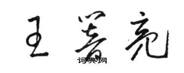 骆恒光王响亮草书个性签名怎么写