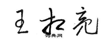 骆恒光王相亮草书个性签名怎么写