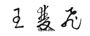 骆恒光王双飞草书个性签名怎么写