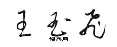 骆恒光王玉飞草书个性签名怎么写
