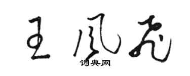 骆恒光王风飞草书个性签名怎么写