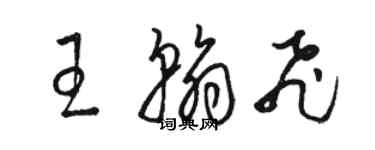 骆恒光王翰飞草书个性签名怎么写