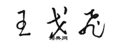 骆恒光王戈飞草书个性签名怎么写
