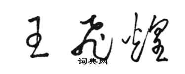 骆恒光王飞煌草书个性签名怎么写