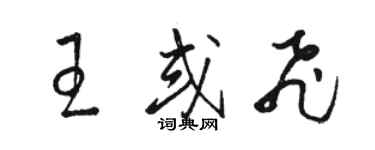 骆恒光王或飞草书个性签名怎么写