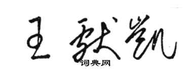 骆恒光王献凯草书个性签名怎么写
