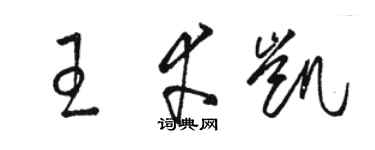 骆恒光王幸凯草书个性签名怎么写