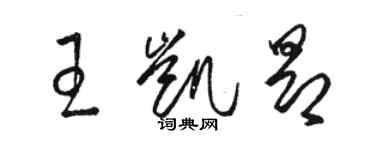 骆恒光王凯昂草书个性签名怎么写