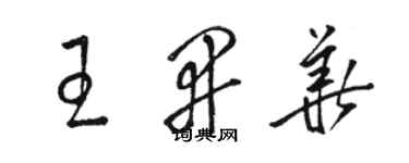 骆恒光王开华草书个性签名怎么写