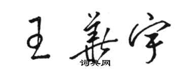 骆恒光王华宇草书个性签名怎么写