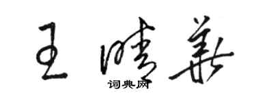 骆恒光王晴华草书个性签名怎么写