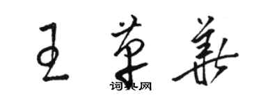 骆恒光王革华草书个性签名怎么写