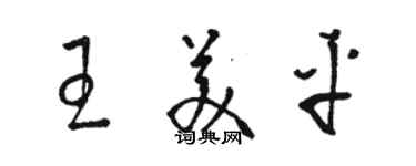骆恒光王美平草书个性签名怎么写
