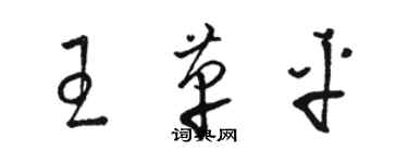 骆恒光王革平草书个性签名怎么写