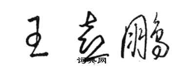 骆恒光王喜鹏草书个性签名怎么写