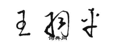 骆恒光王羽平草书个性签名怎么写