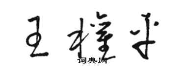 骆恒光王权平草书个性签名怎么写