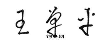 骆恒光王单平草书个性签名怎么写