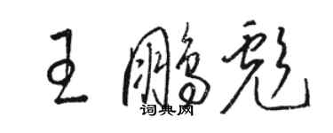 骆恒光王鹏彪草书个性签名怎么写