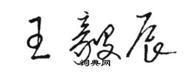 骆恒光王毅辰草书个性签名怎么写