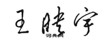 骆恒光王映宇草书个性签名怎么写