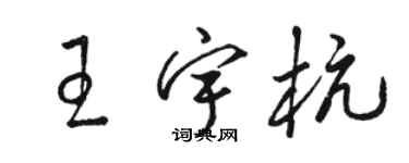 骆恒光王宇杭草书个性签名怎么写