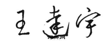 骆恒光王达宇草书个性签名怎么写