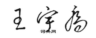 骆恒光王宇乔草书个性签名怎么写