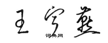 骆恒光王宁燕草书个性签名怎么写