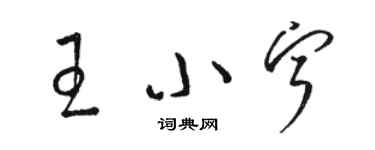 骆恒光王小宁草书个性签名怎么写