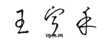 骆恒光王宁禾草书个性签名怎么写